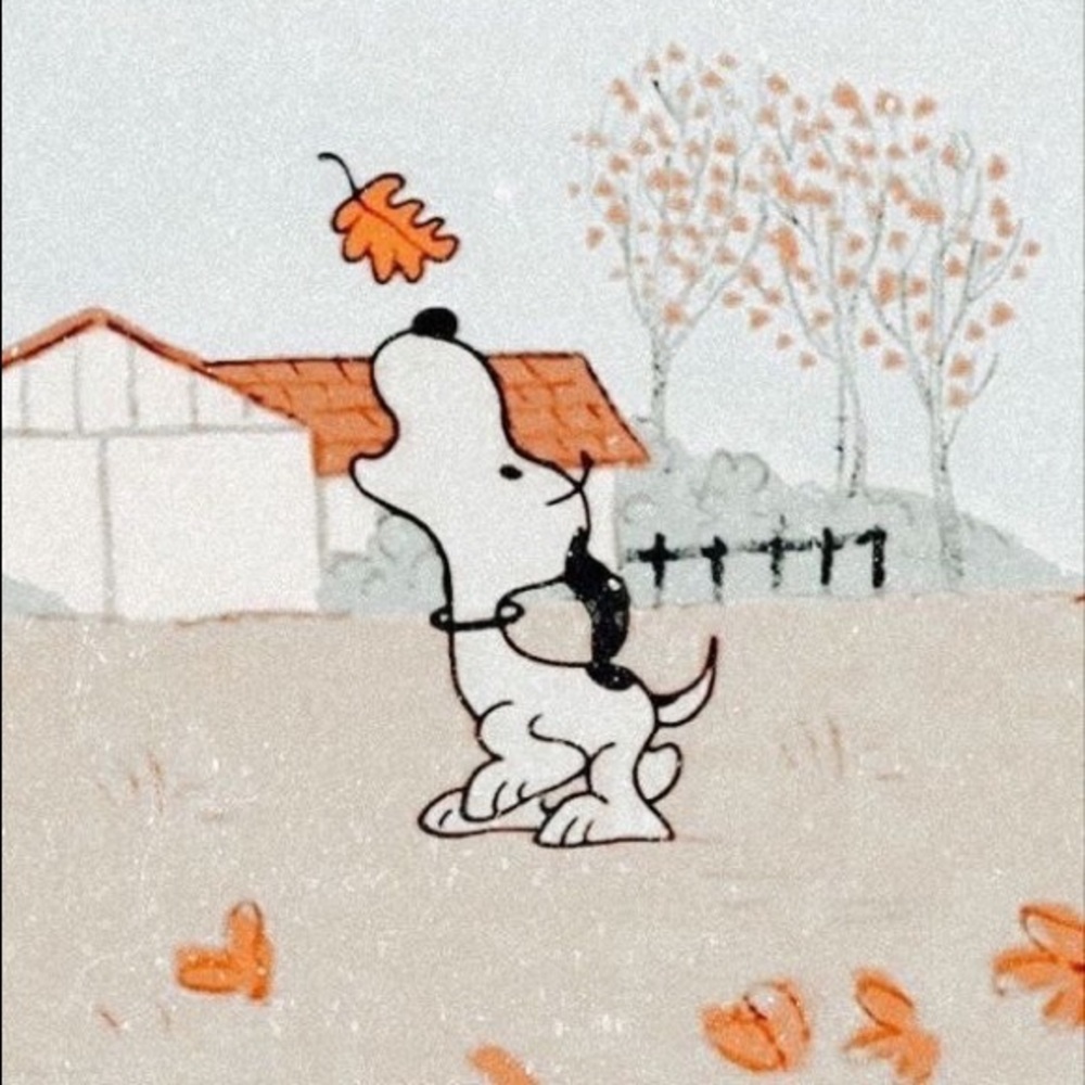 Meet your Posher, Bella